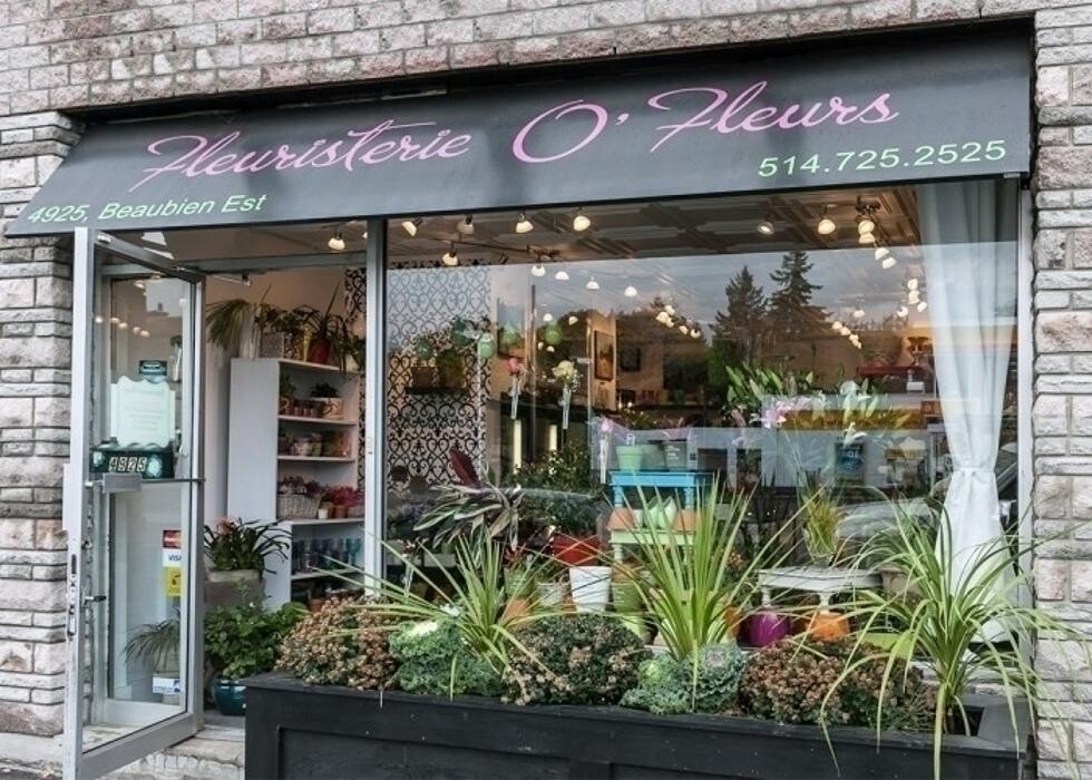 Images Fleuristerie O'Fleurs