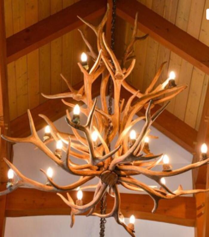 Images Sunny Coast Electric