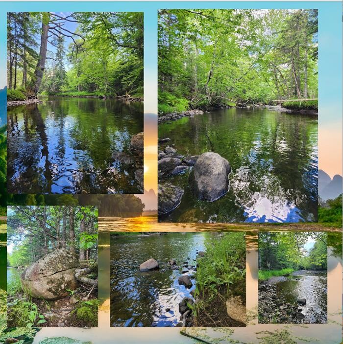 Images Cheryl Vickers - REALTOR - Associate Broker
