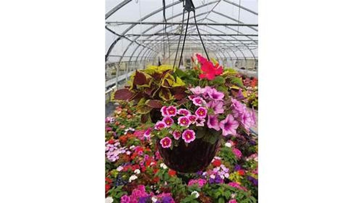 Images GARDENWORKS Nanaimo