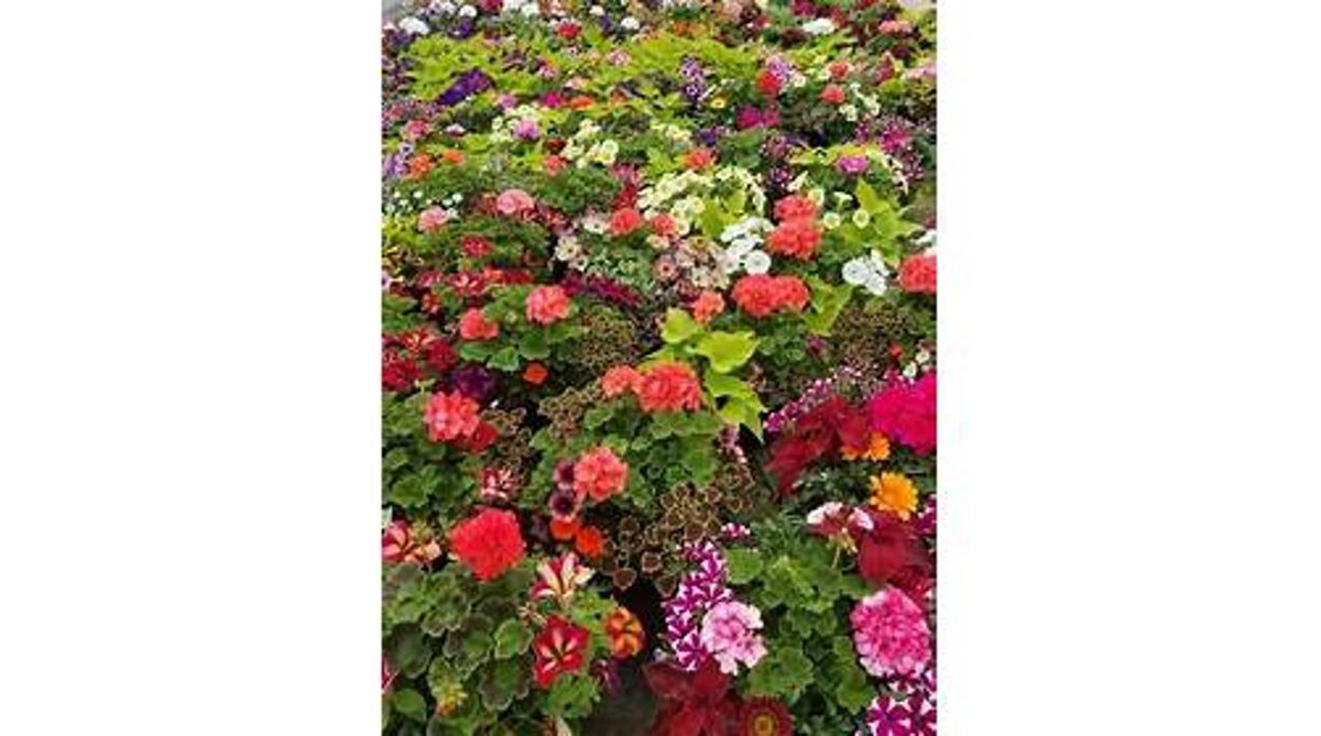 Images GARDENWORKS Nanaimo