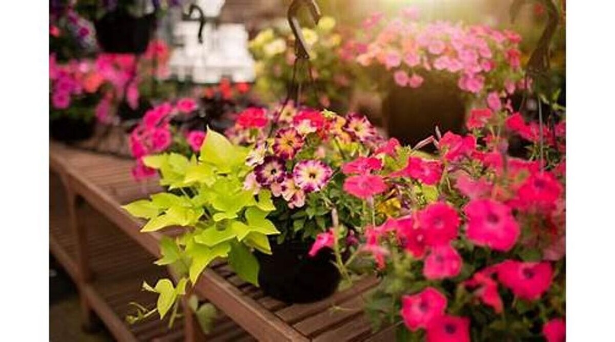 Images GARDENWORKS Nanaimo