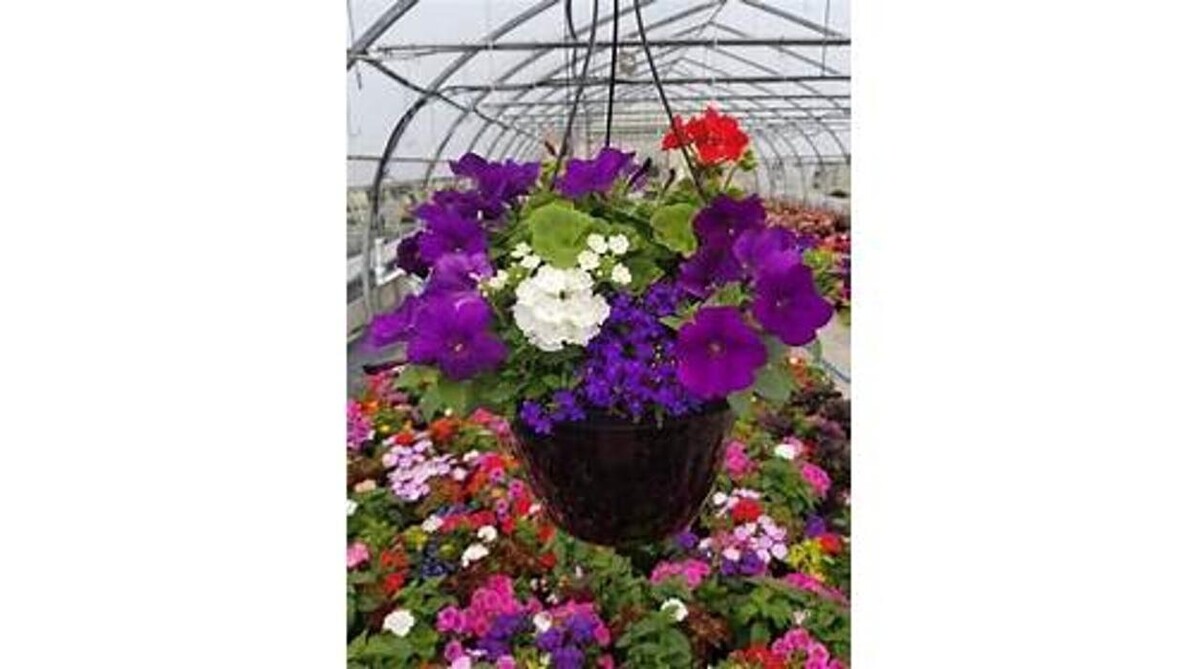 Images GARDENWORKS Nanaimo