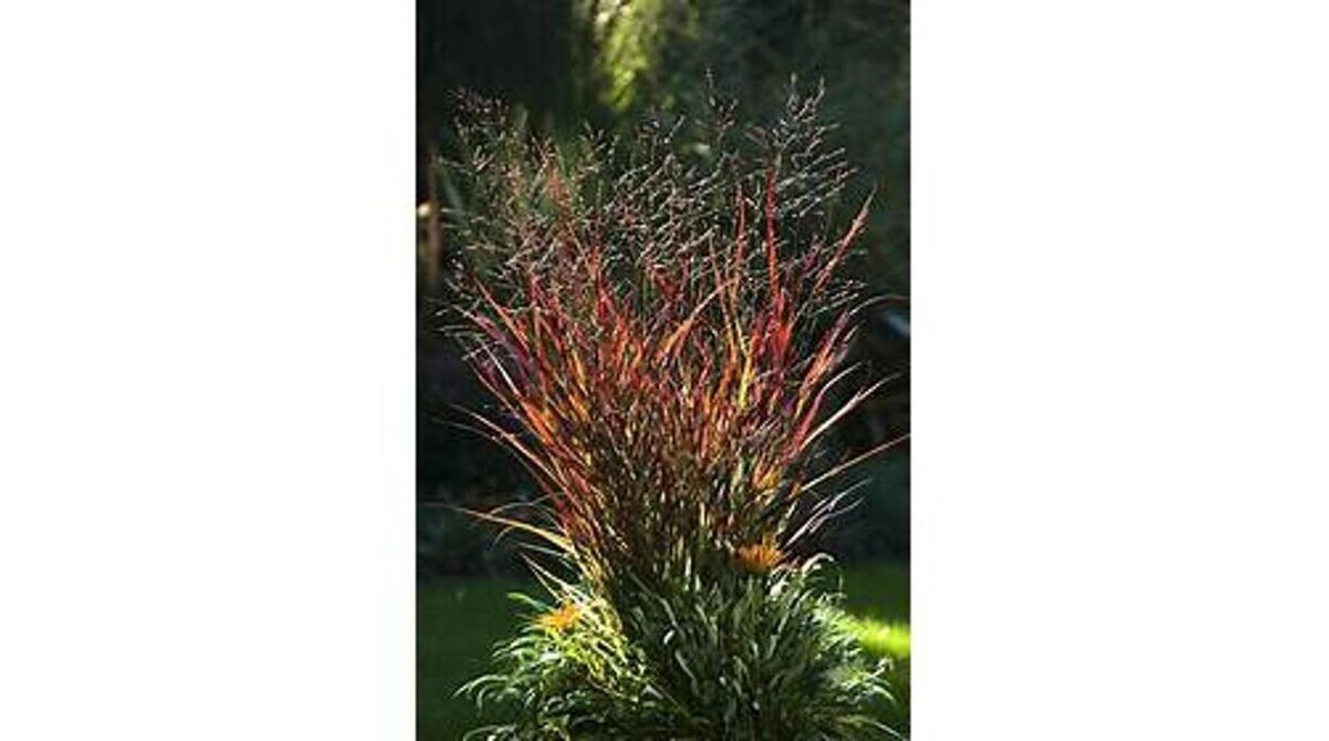 Images GARDENWORKS Penticton
