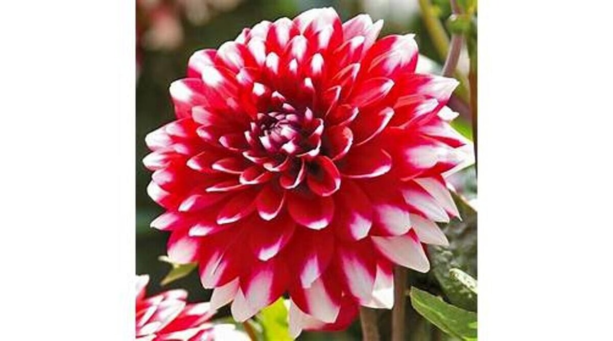 Images GARDENWORKS Penticton