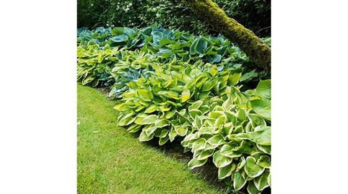 Images GARDENWORKS Penticton
