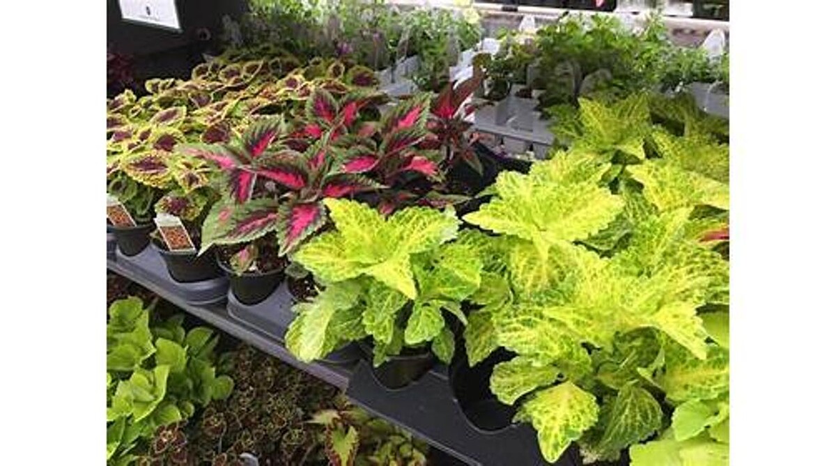 Images GARDENWORKS Penticton