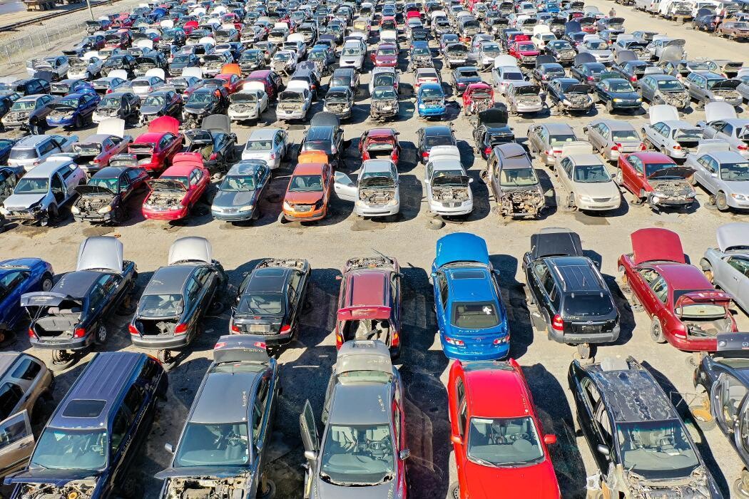 Images Kenny U-Pull Newmarket