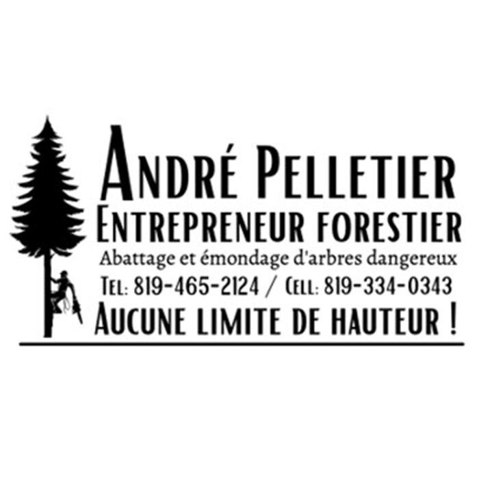 Images André Pelletier Entrepreneur Forestier