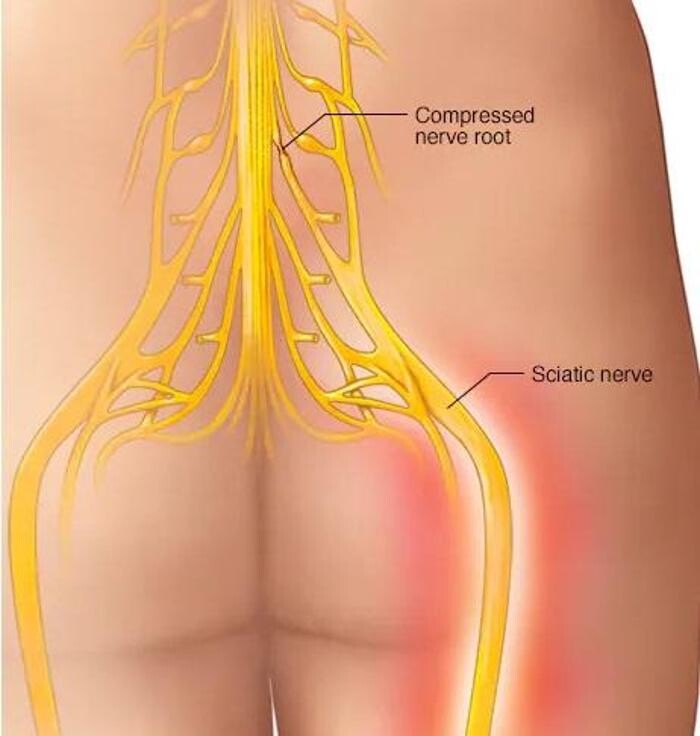 Images TCM Acupuncture Orillia Cindy
