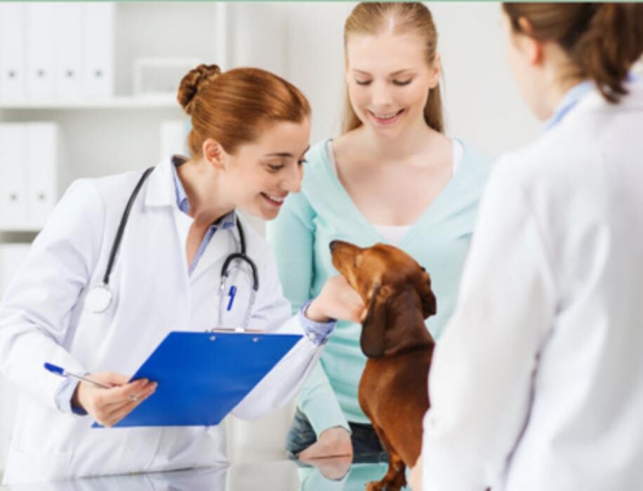 Images Stave Lake Veterinary Hospital