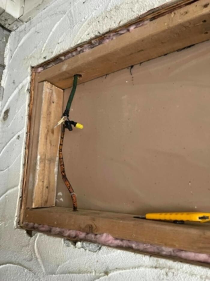 Images Lightwave Electric