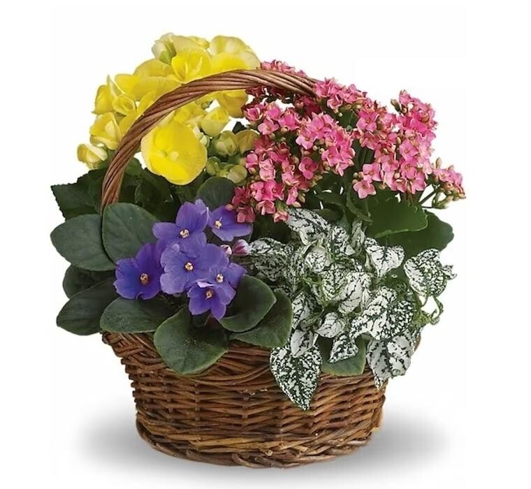 Images Charlynda Fleuriste