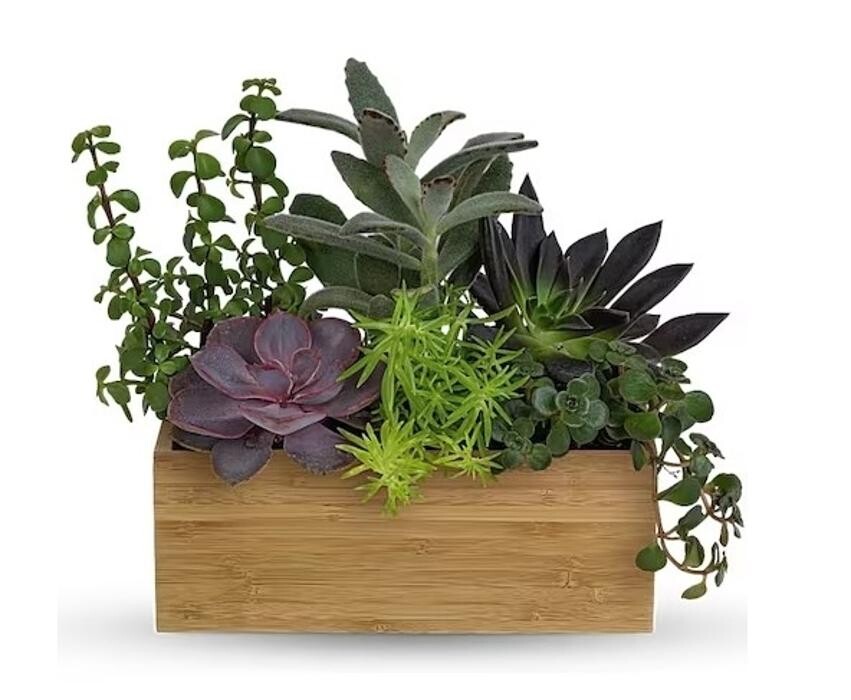 Images Charlynda Fleuriste