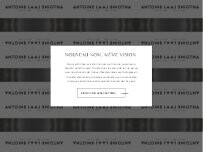 Website Screenshot Antoine Laoun