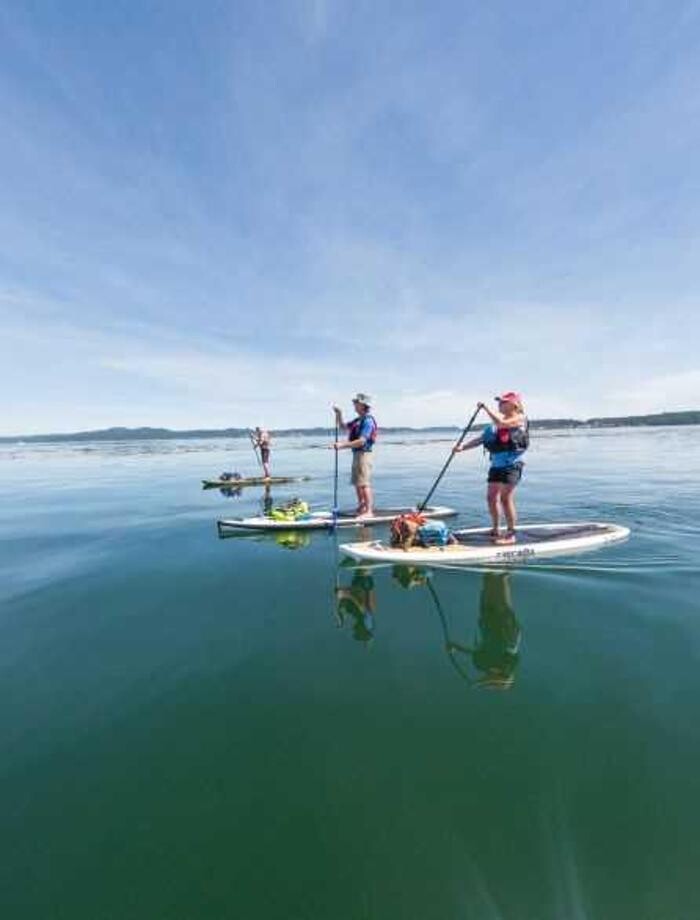 Images Blue Jellyfish SUP Adventures