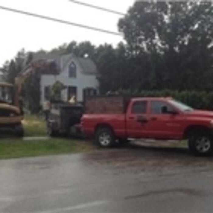 Images Arbtech Tree Care Services