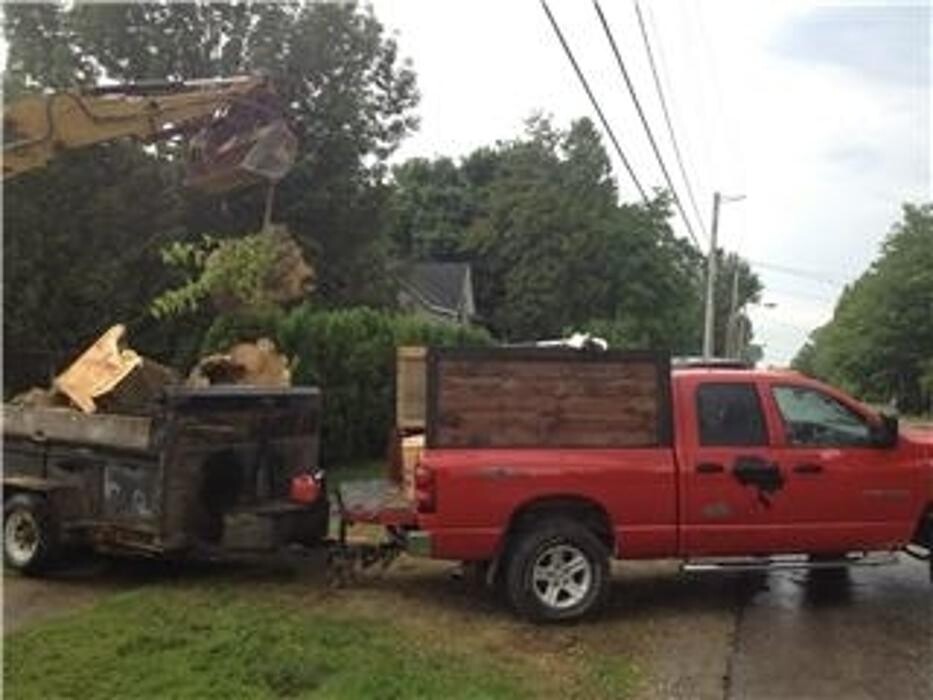 Images Arbtech Tree Care Services