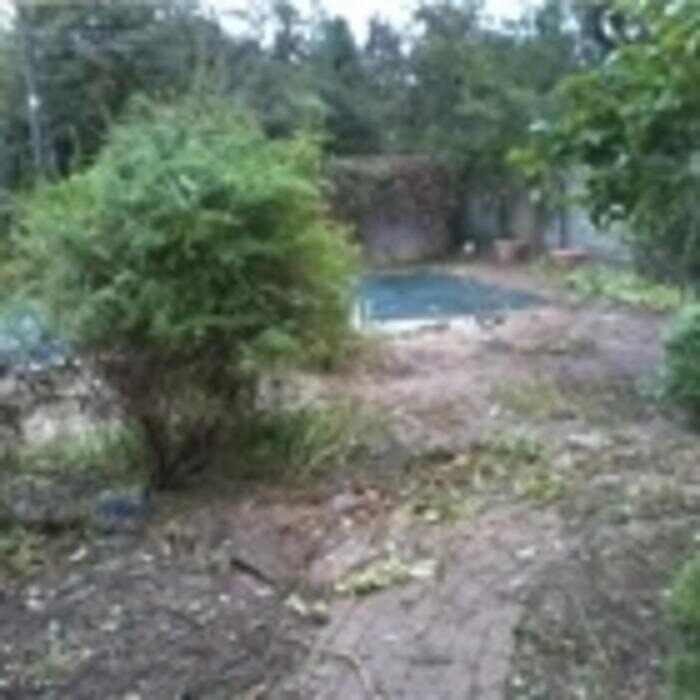 Images Arbtech Tree Care Services