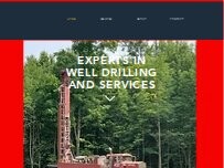 Website Screenshot Stan Wright & Co Well Drillers