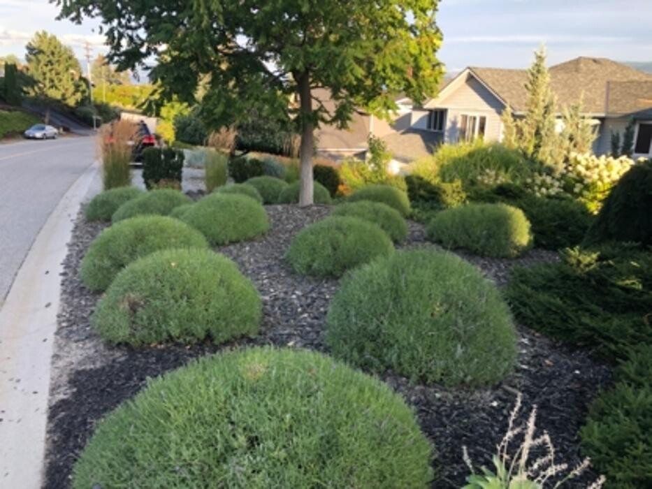 Images Okanagan Valley Landscape ltd
