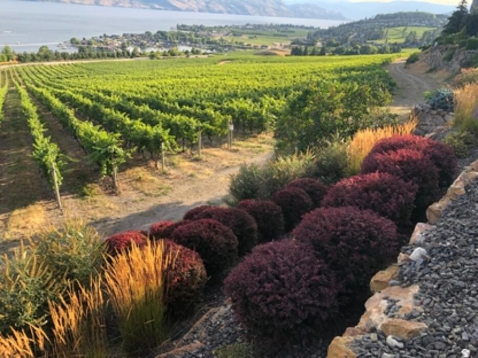 Images Okanagan Valley Landscape ltd