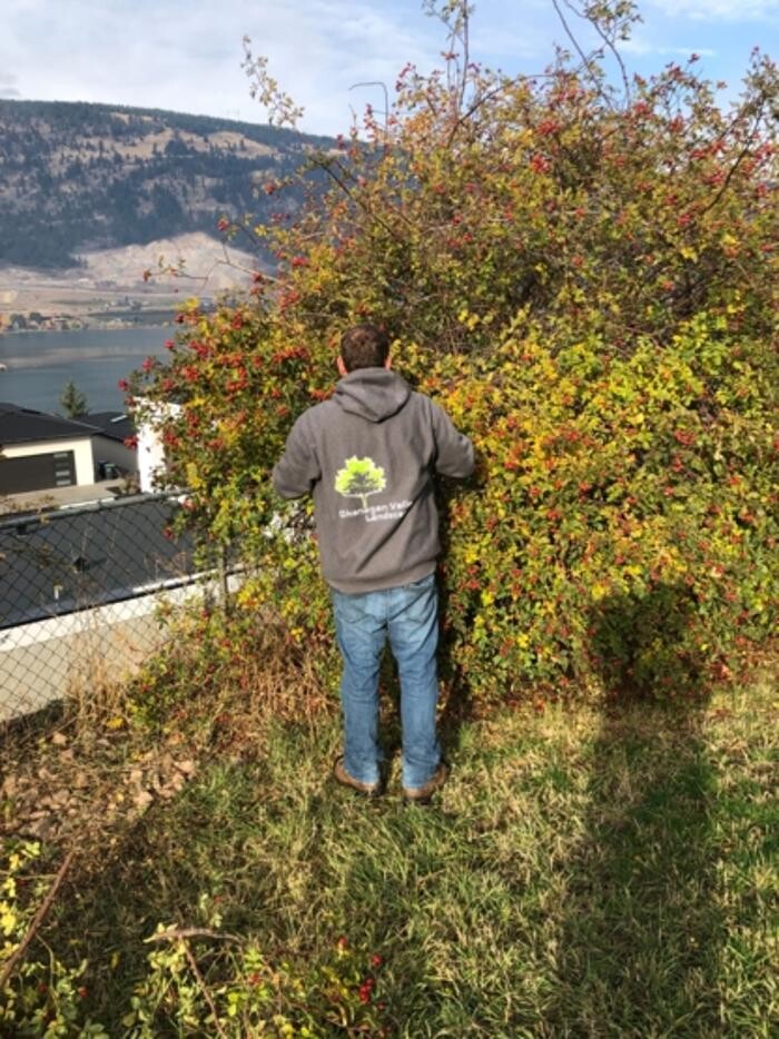 Images Okanagan Valley Landscape ltd