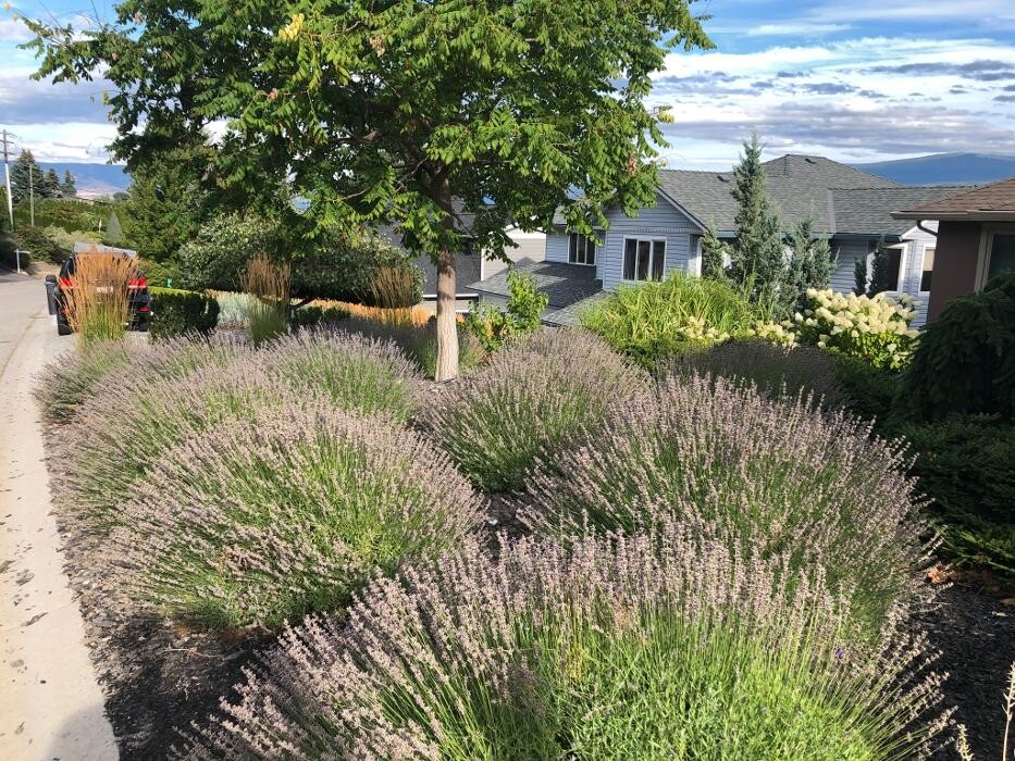Images Okanagan Valley Landscape ltd