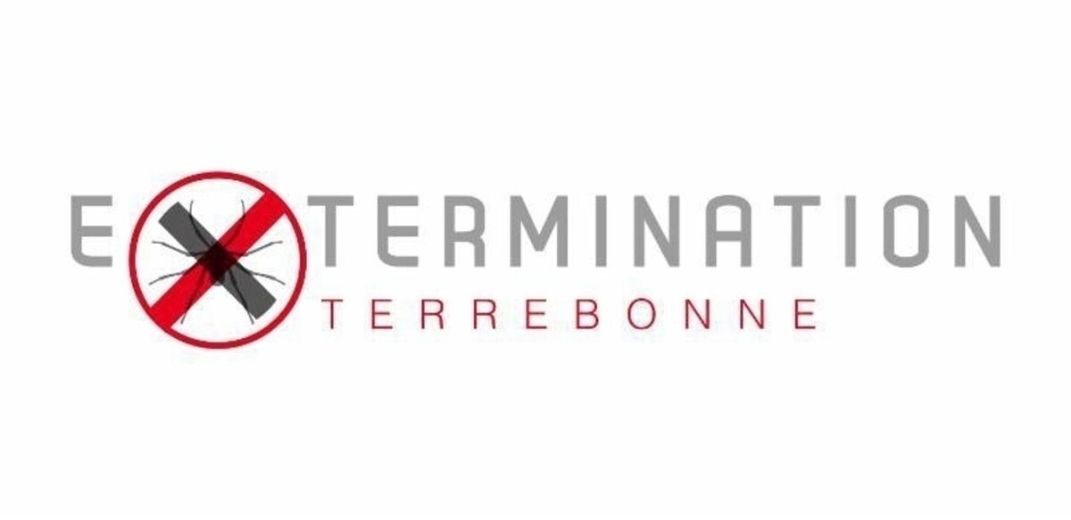 Images Extermination Terrebonne