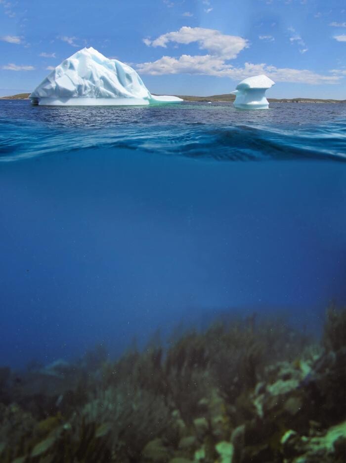 Images Torngat Fish Producers Co-Operative