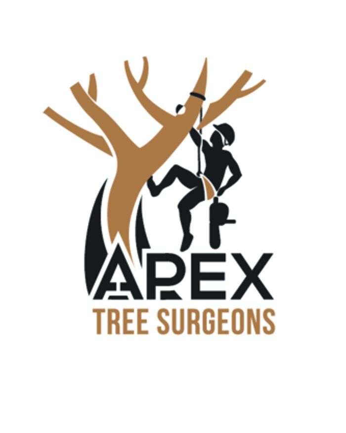 Images Apex Tree Surgeons