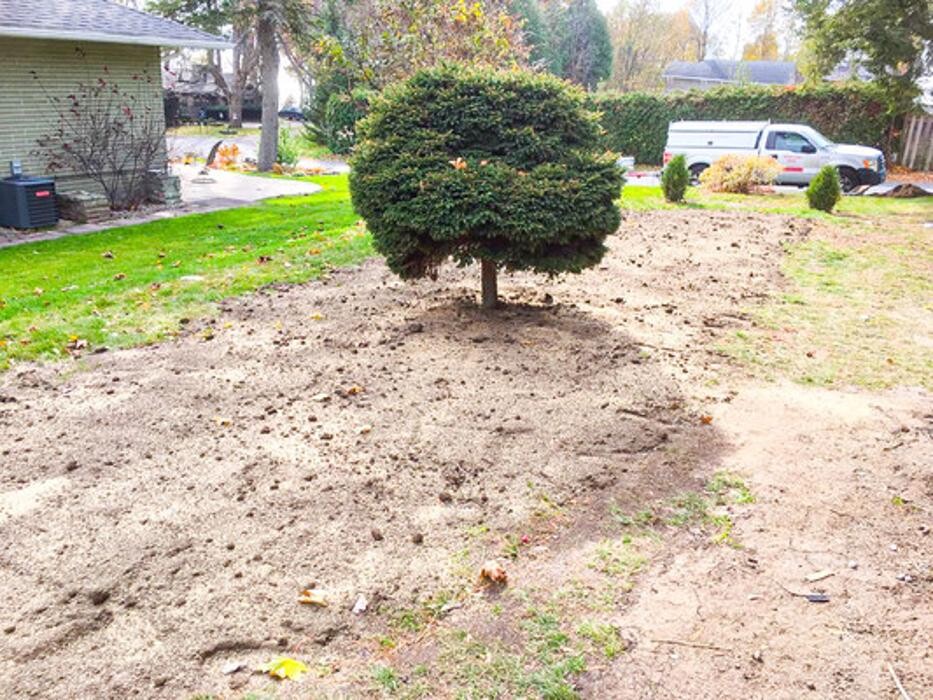 Images Distinct Lawn Works