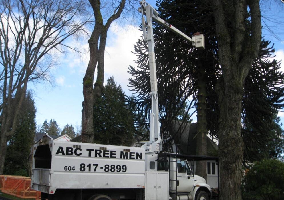 Images A B C Tree Men