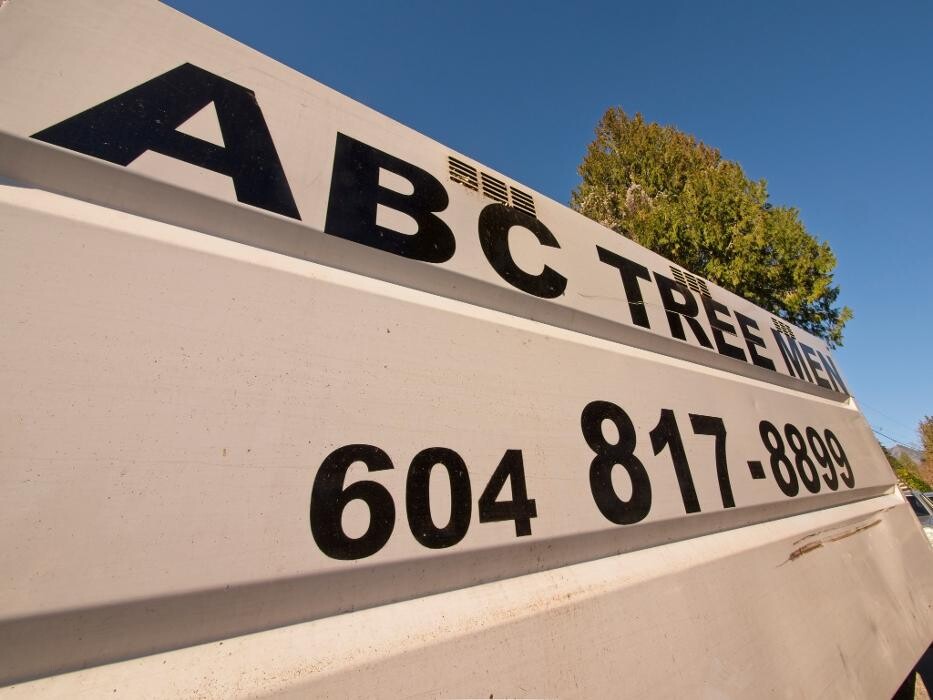 Images ABC Tree Men