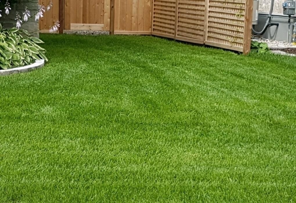 Images Elmvale Landscaping & Contractors