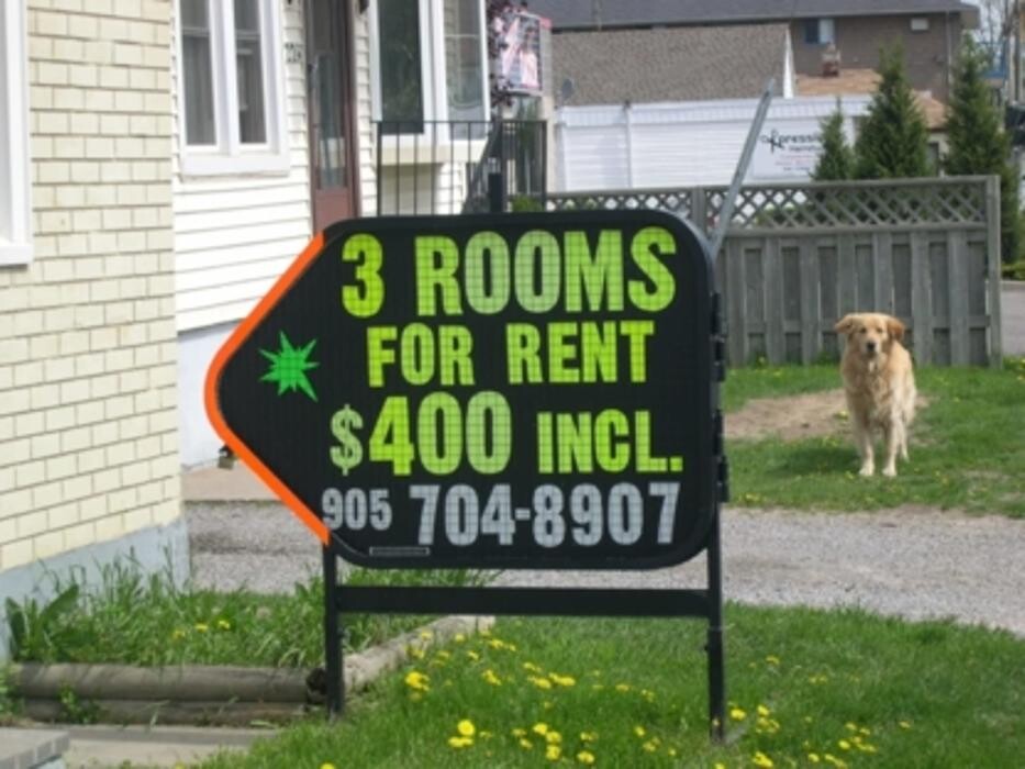Images Magnetsigns