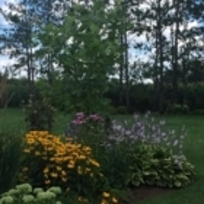 Images Hordyk Peter Landscape