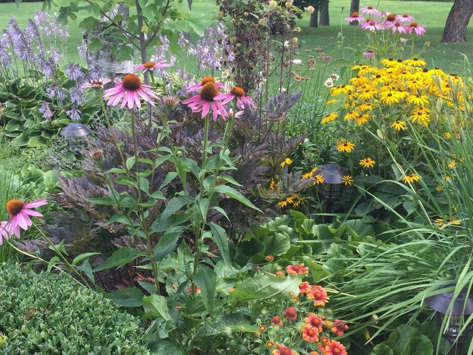 Images Hordyk Peter Landscape