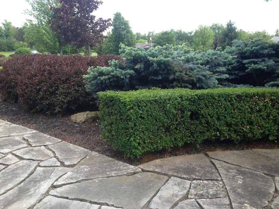 Images Hordyk Peter Landscape