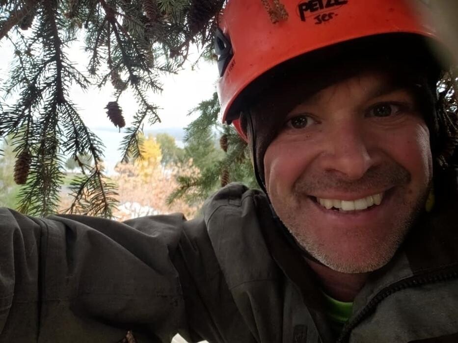 Images Wild Side Tree Care