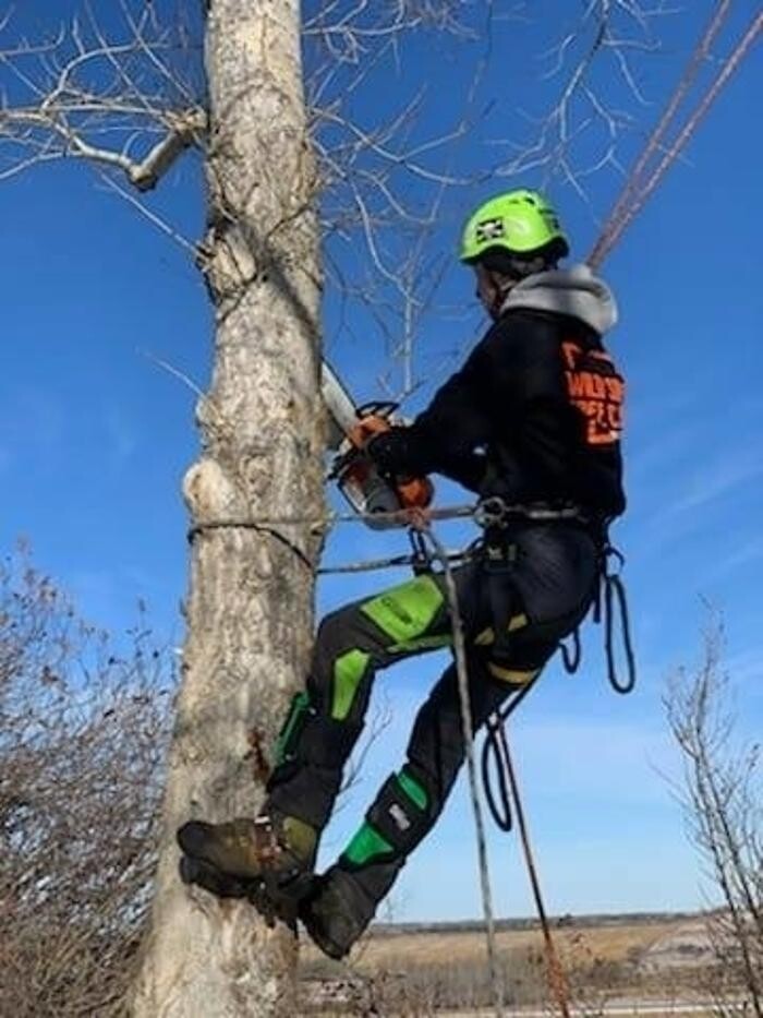 Images Wild Side Tree Care
