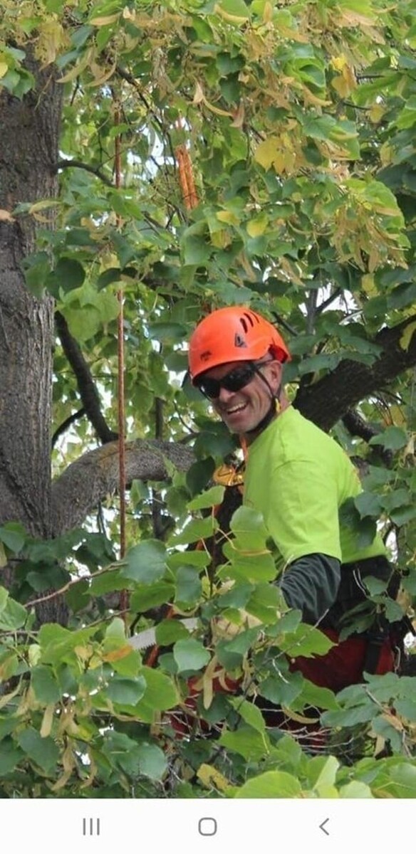 Images Wild Side Tree Care