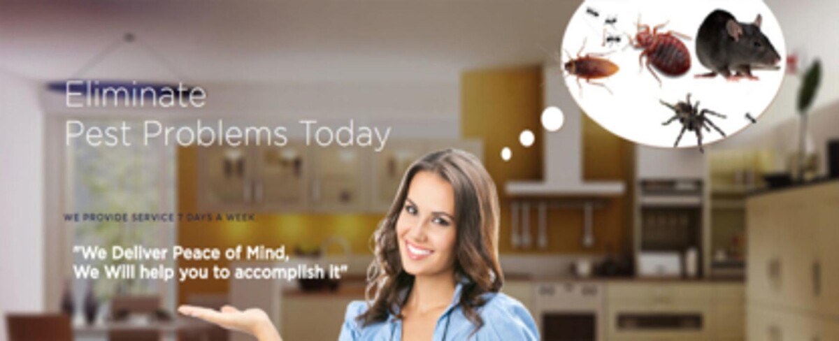 Images Pest Control Barrie