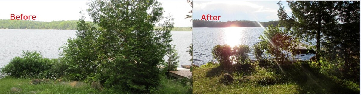 Images Eco-Choice Pest Control