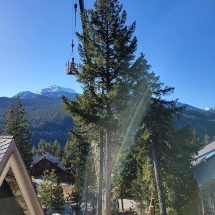 Images Pemberton Crane Hire