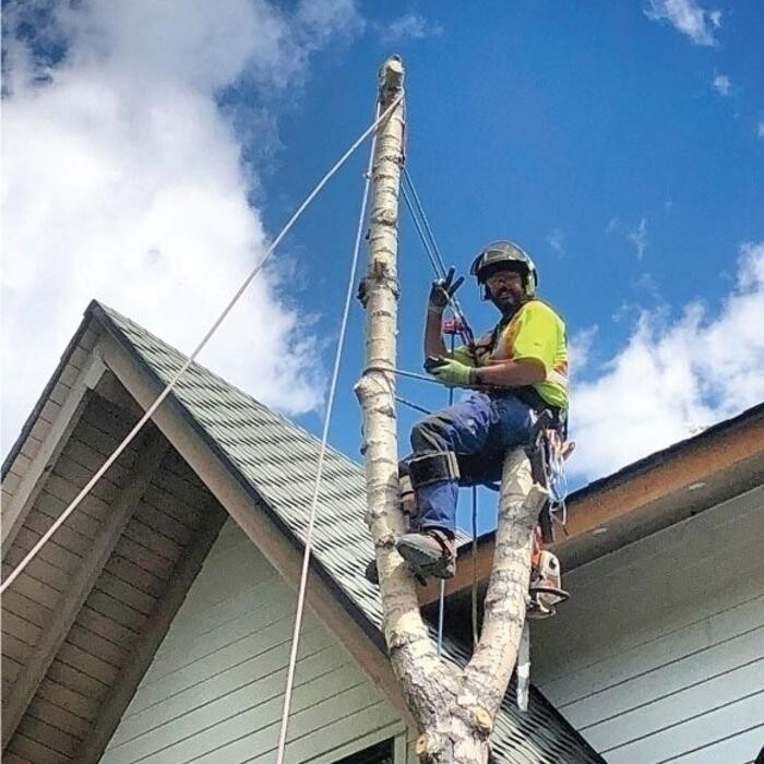 Images Ascent Tree Services Ltd.