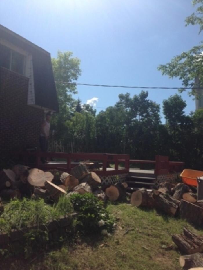 Images Ascend Tree Services