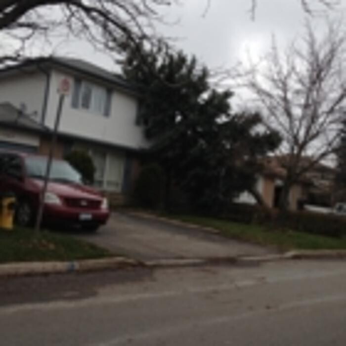 Images Ingold Tree Service
