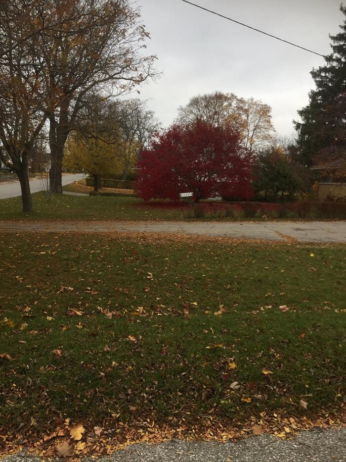 Images Ingold Tree Service