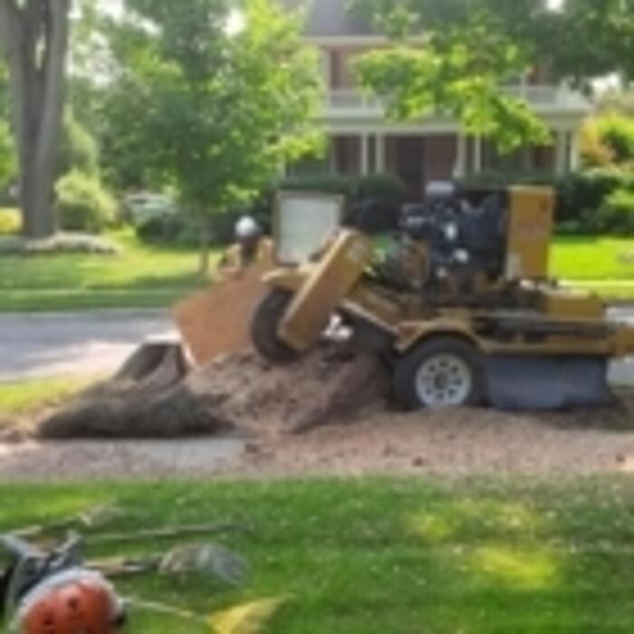Images Ingold Tree Service